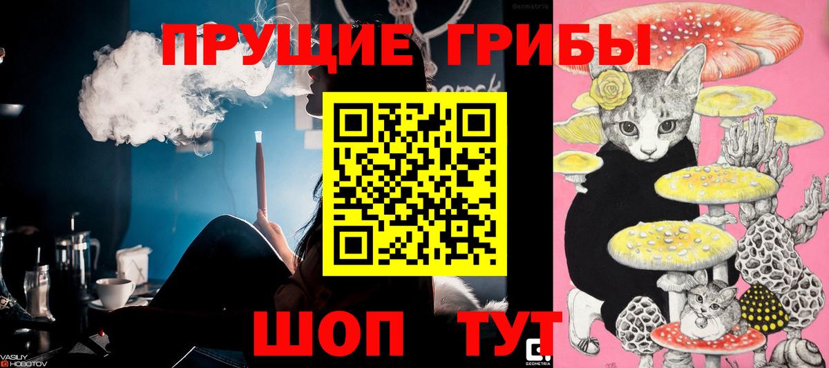 Псилоцибиновые грибы Psilocybe  Галлюциногенные грибы MAGIC MUSHROOMS  Вход с VPN  Казань 
